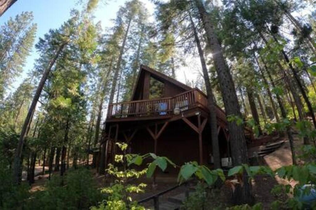 Pinecrest A-Frame Family Fun Near Dodge Ridge Villa Long Barn Kültér fotó